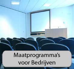 Maatprogramma's voor Bedrijven